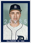 Don Pepper - 1966 Detroit Tigers - choose a size & style