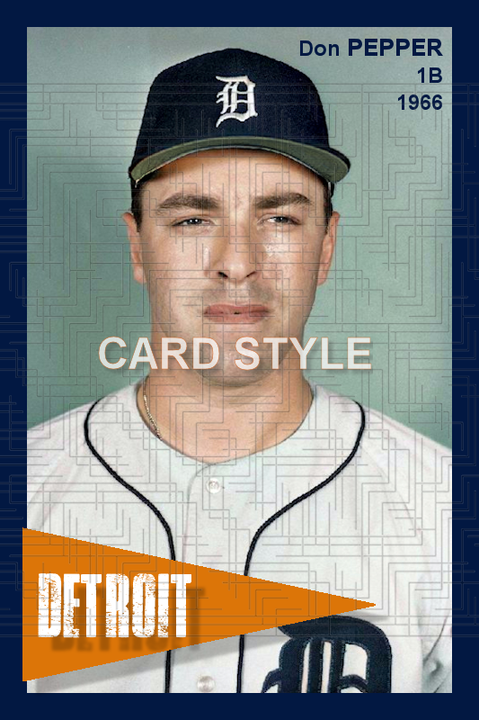 Don Pepper - 1966 Detroit Tigers - choose a size & style