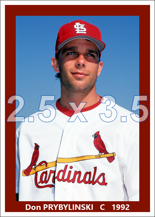 Don Prybylinski - 1992 St. Louis Cardinals - choose a size & style