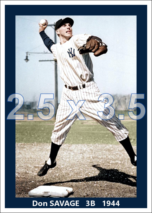 Don Savage - 1944 New York Yankees - pose A - choose a size & style