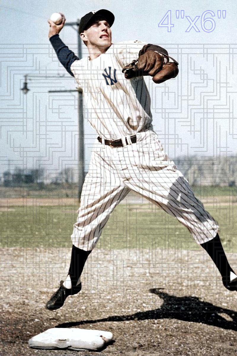 Don Savage - 1944 New York Yankees - pose A - choose a size & style