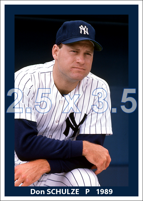 Don Schulze - 1989 New York Yankees - choose a size & style