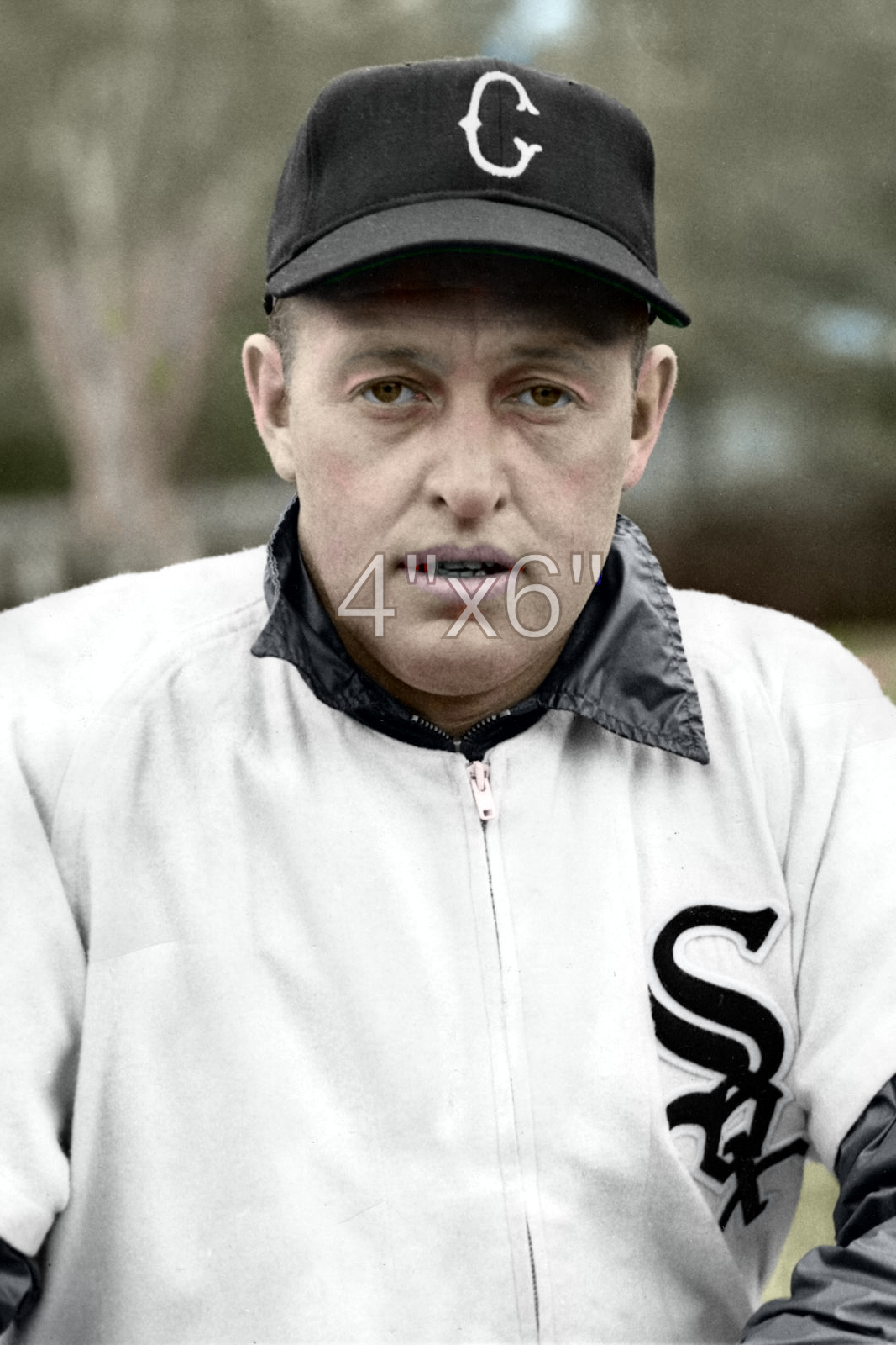 Don Wheeler - 1949 Chicago White Sox - choose a size & style