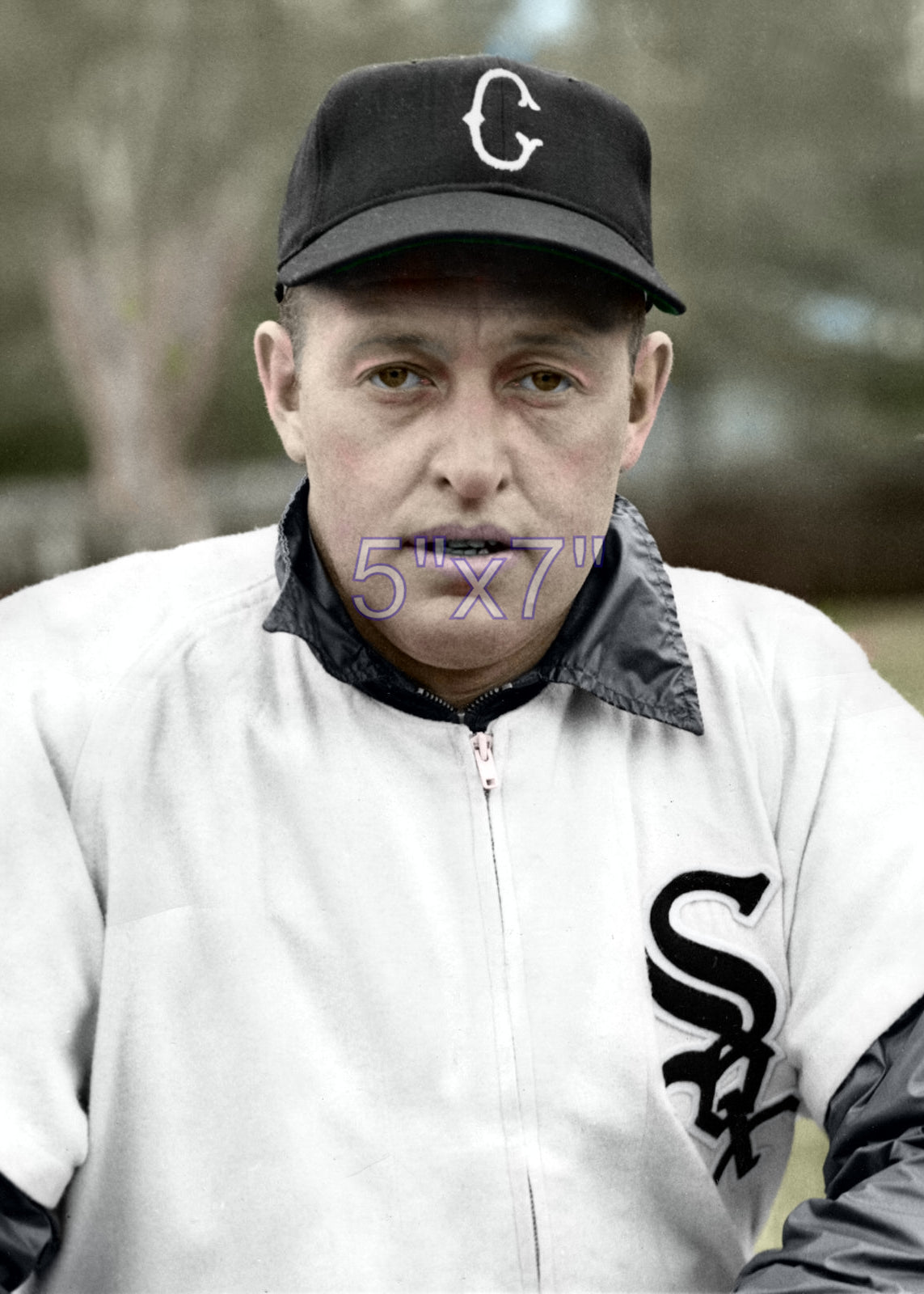 Don Wheeler - 1949 Chicago White Sox - choose a size & style