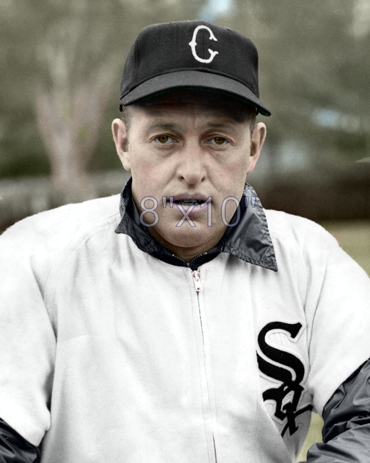 Don Wheeler - 1949 Chicago White Sox - choose a size & style