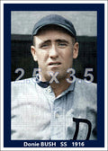 Donie Bush - 1916 Detroit Tigers - choose a size & style