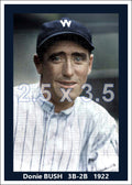 Donie Bush - 1922 Washington Senators - choose a size & style