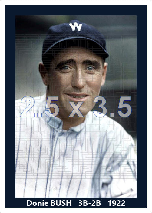 Donie Bush - 1922 Washington Senators - choose a size & style