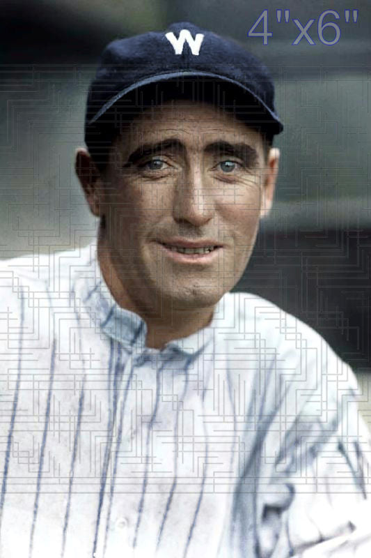 Donie Bush - 1922 Washington Senators - choose a size & style