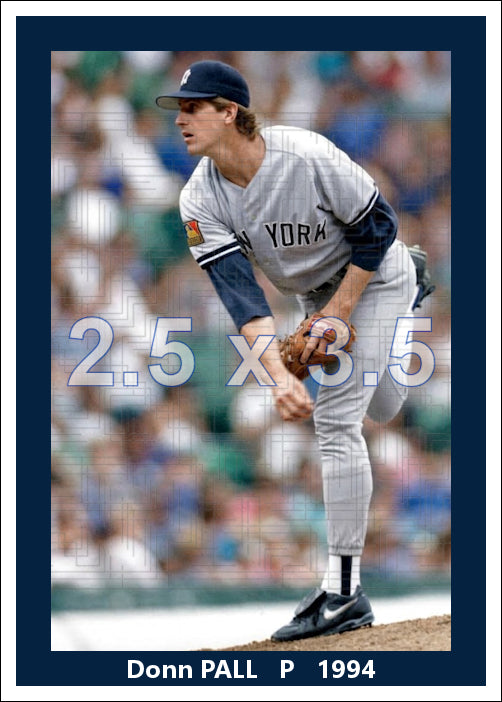 Donn Pall - 1994 New York Yankees - choose a size & style