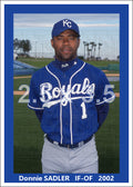 Donnie Sadler - 2002 Kansas City Royals - choose a size & style