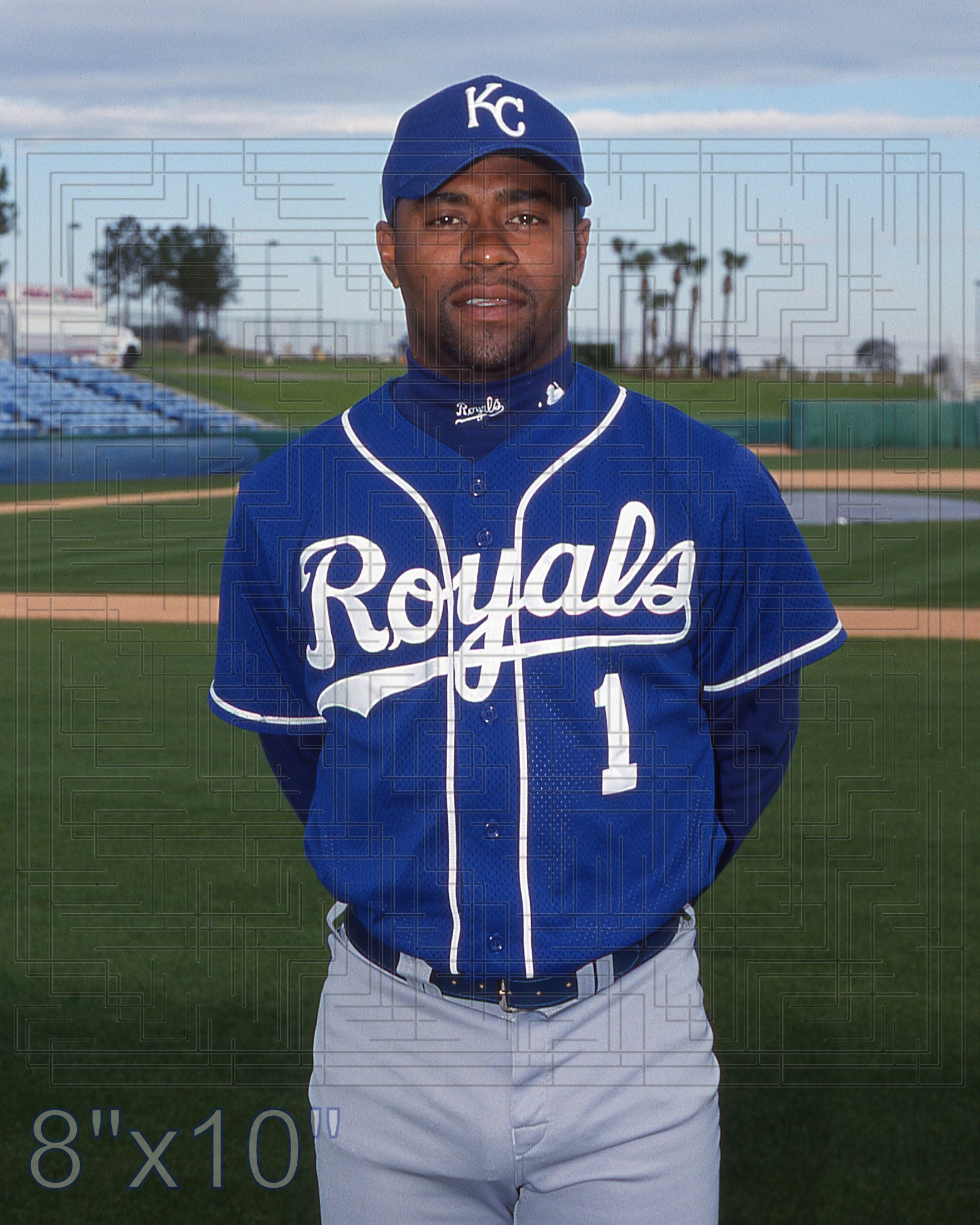 Donnie Sadler - 2002 Kansas City Royals - choose a size & style