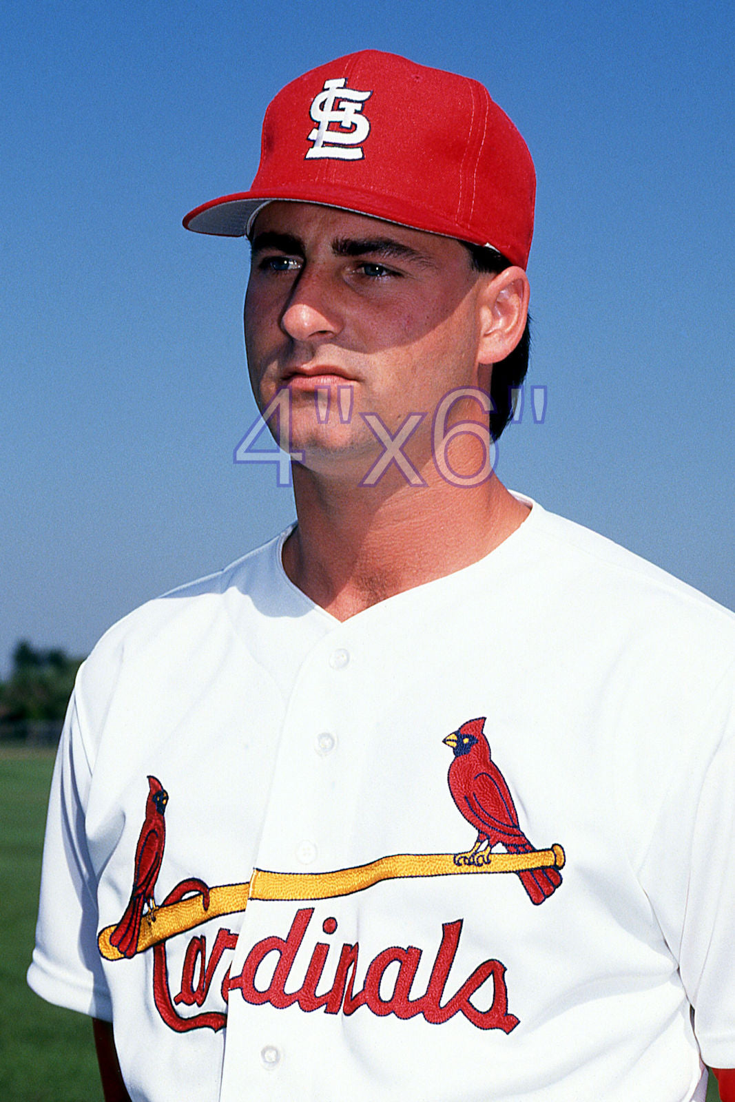 Donovan Osborne - 1992 St. Louis Cardinals - choose a size & style