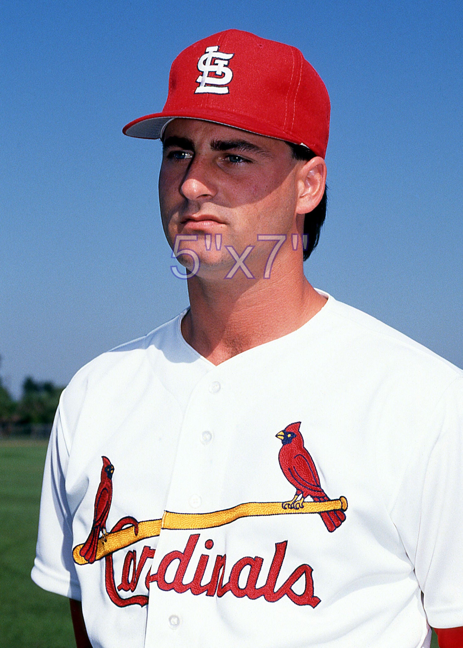 Donovan Osborne - 1992 St. Louis Cardinals - choose a size & style