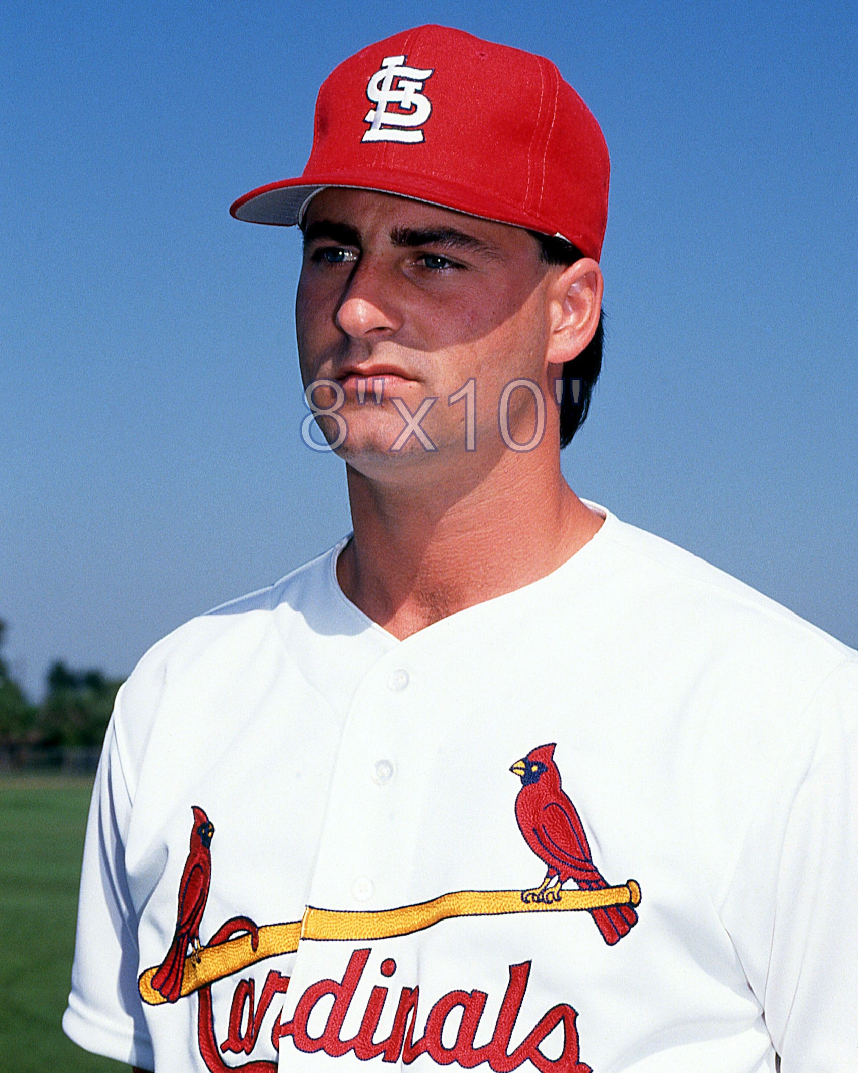 Donovan Osborne - 1992 St. Louis Cardinals - choose a size & style