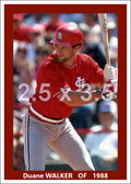 Duane Walker - 1988 St. Louis Cardinals - choose a size & style