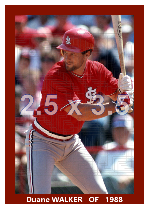 Duane Walker - 1988 St. Louis Cardinals - choose a size & style