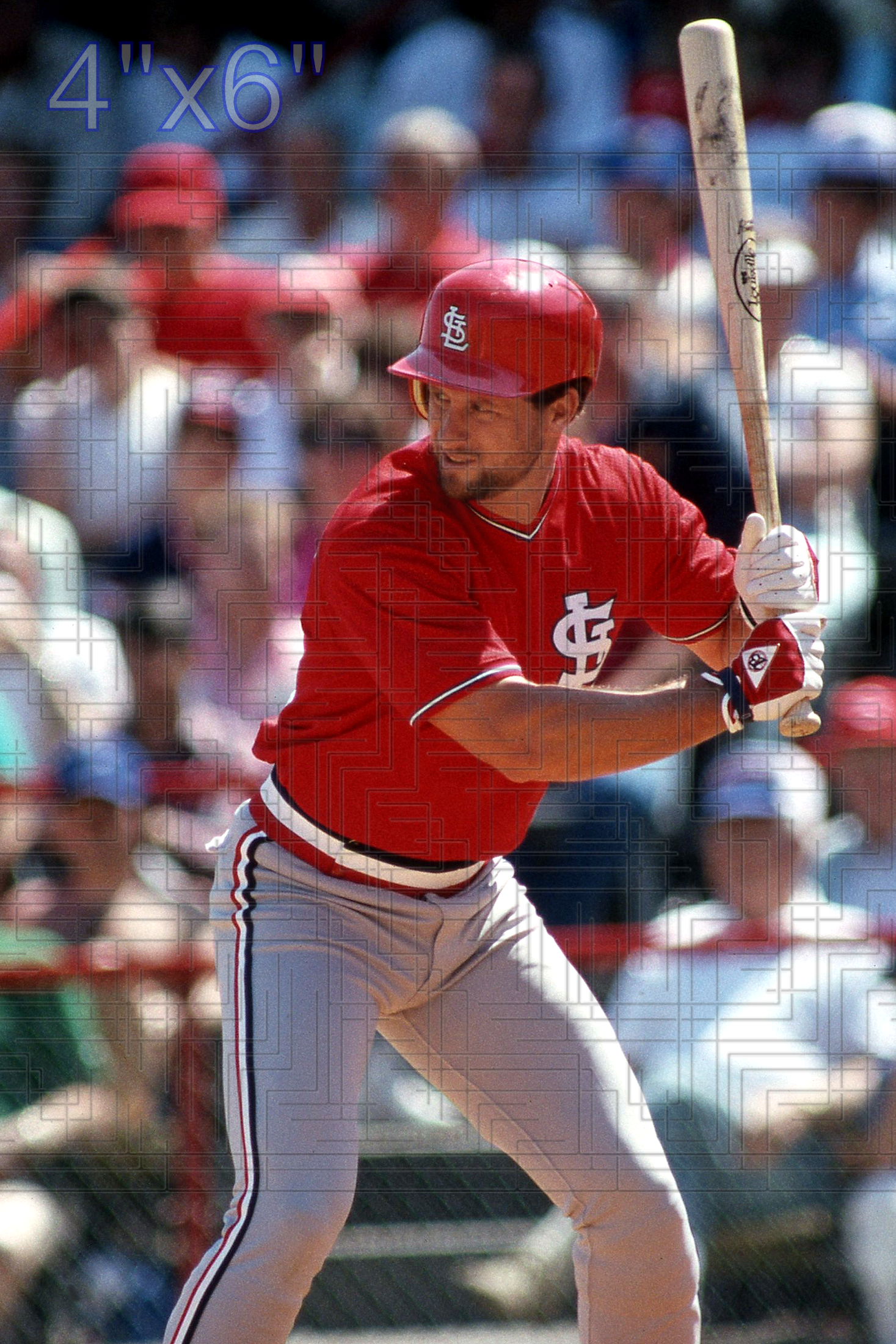 Duane Walker - 1988 St. Louis Cardinals - choose a size & style