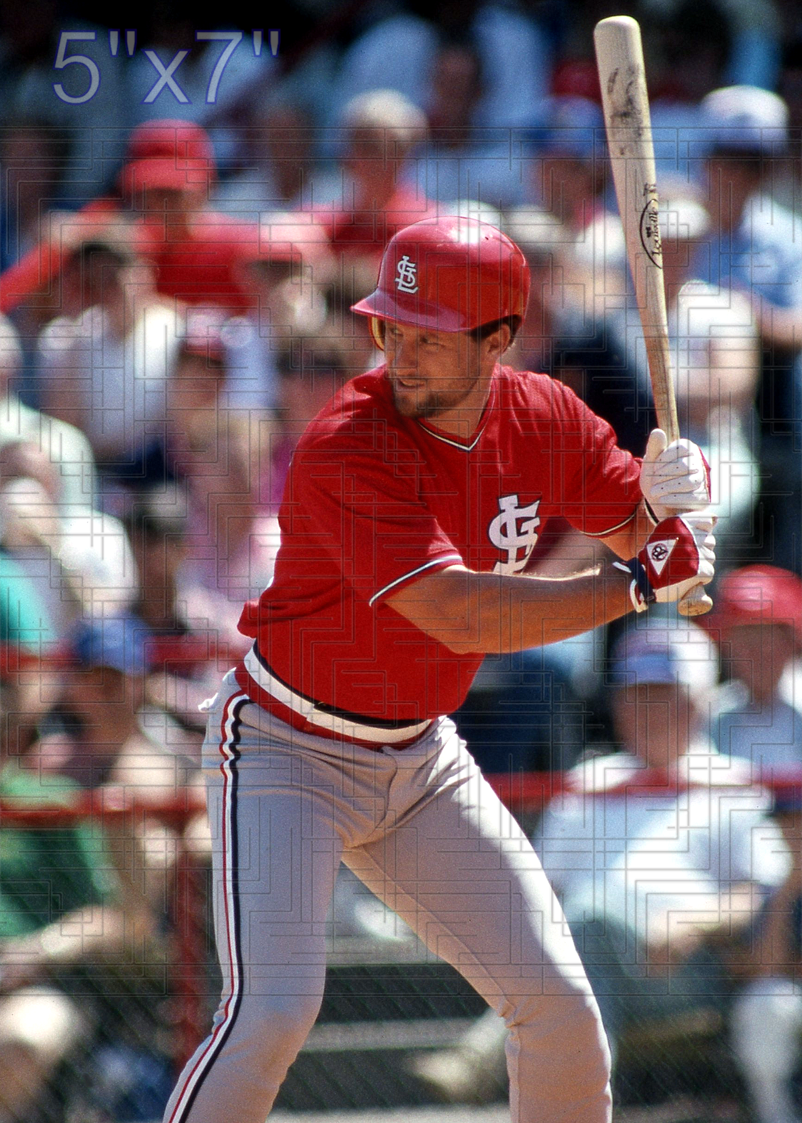 Duane Walker - 1988 St. Louis Cardinals - choose a size & style