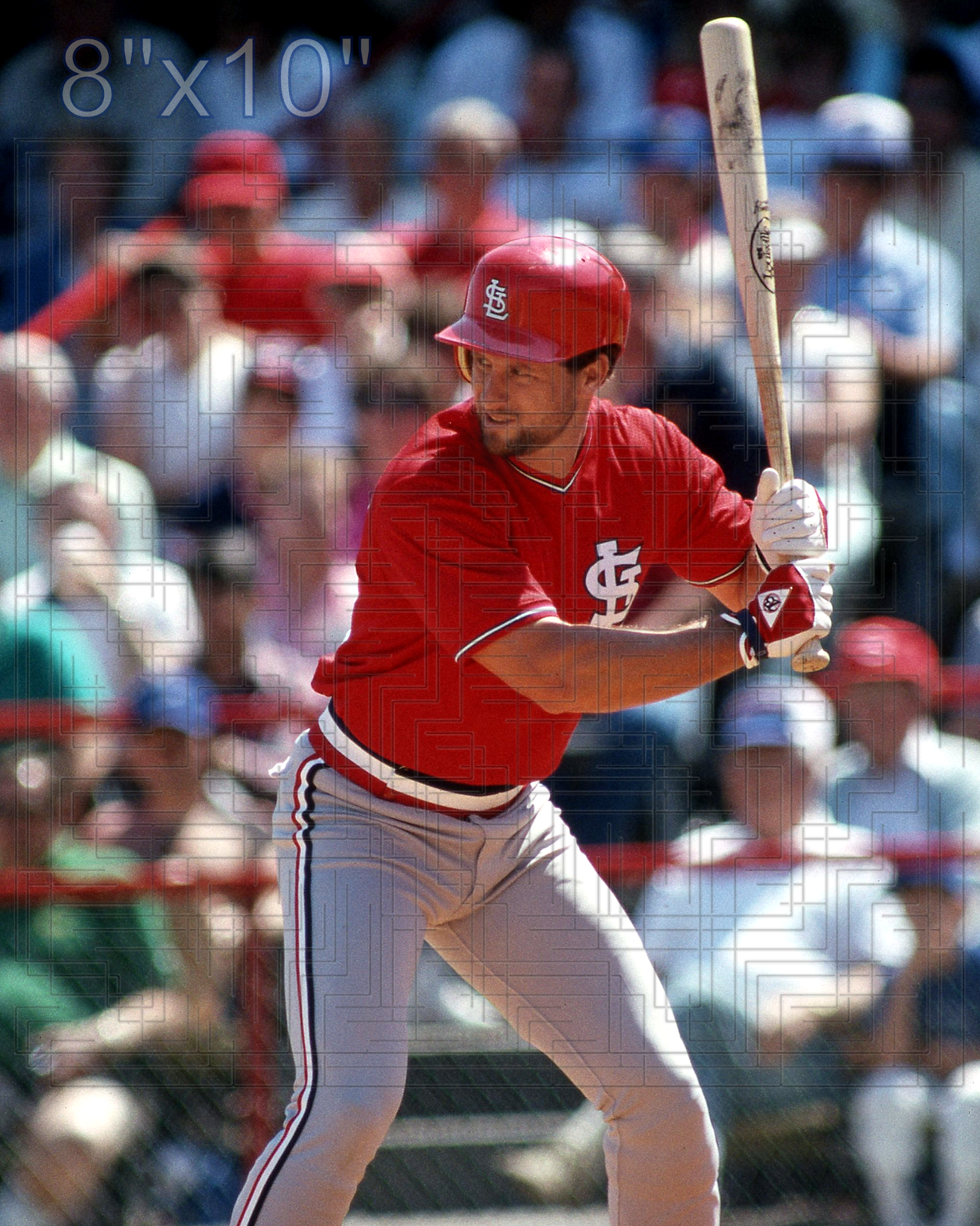 Duane Walker - 1988 St. Louis Cardinals - choose a size & style