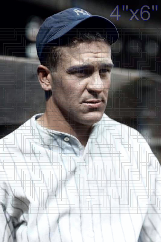 Dusty Cooke - 1930 New York Yankees - choose a size & style