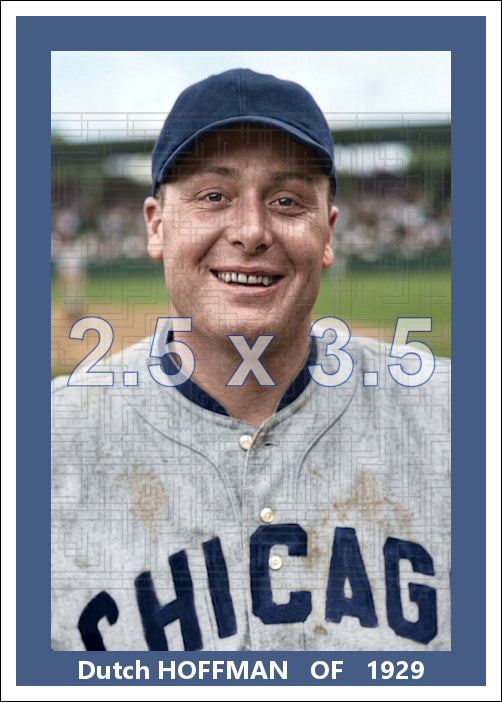 Dutch Hoffman - 1929 Chicago White Sox - choose a size & style