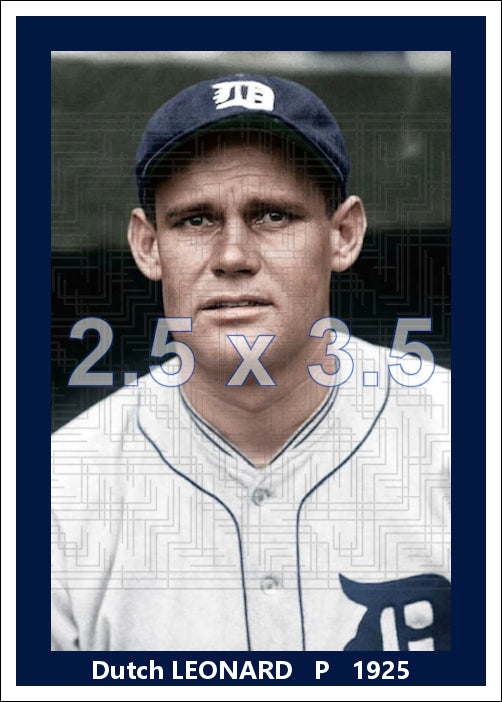 Dutch Leonard - 1925 Detroit Tigers - choose a size & style