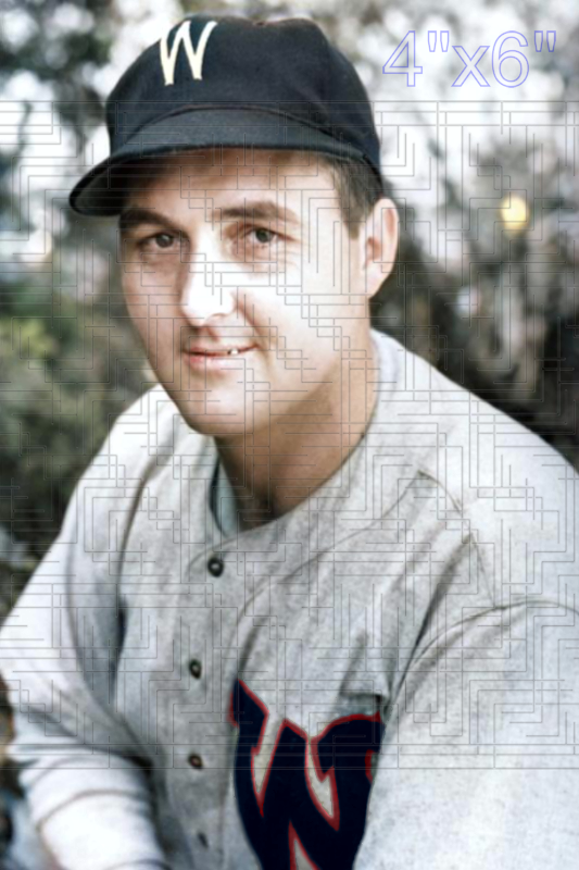 Dutch Leonard - 1938 Washington Senators - choose a size & style