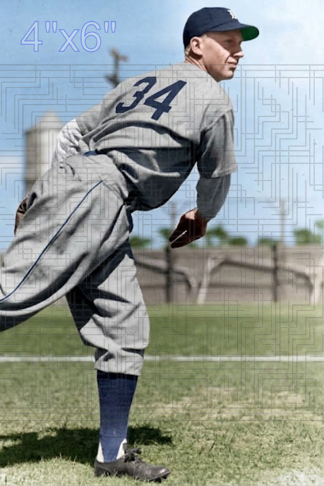 Earl Cook - 1941 Detroit Tigers - choose a size & style