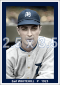 Earl Whitehill - 1923 Detroit Tigers - choose a size & style