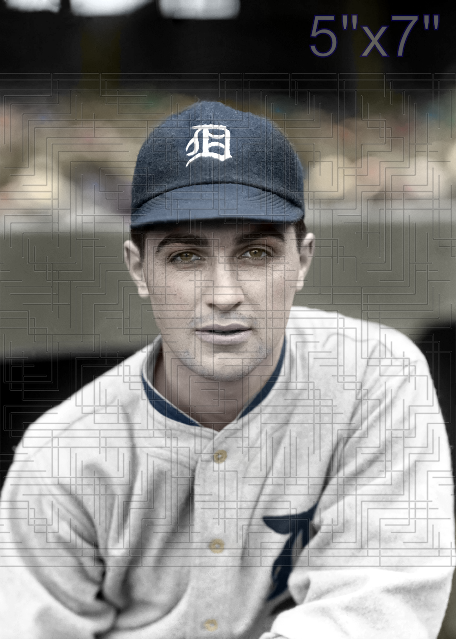 Earl Whitehill - 1923 Detroit Tigers - choose a size & style