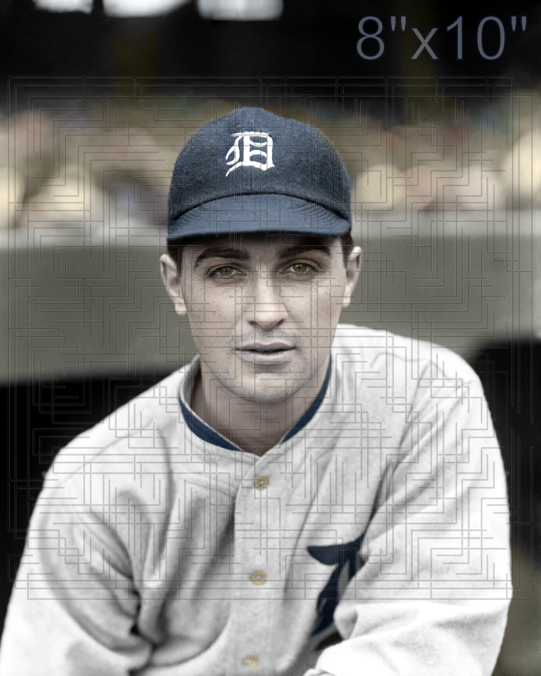 Earl Whitehill - 1923 Detroit Tigers - choose a size & style