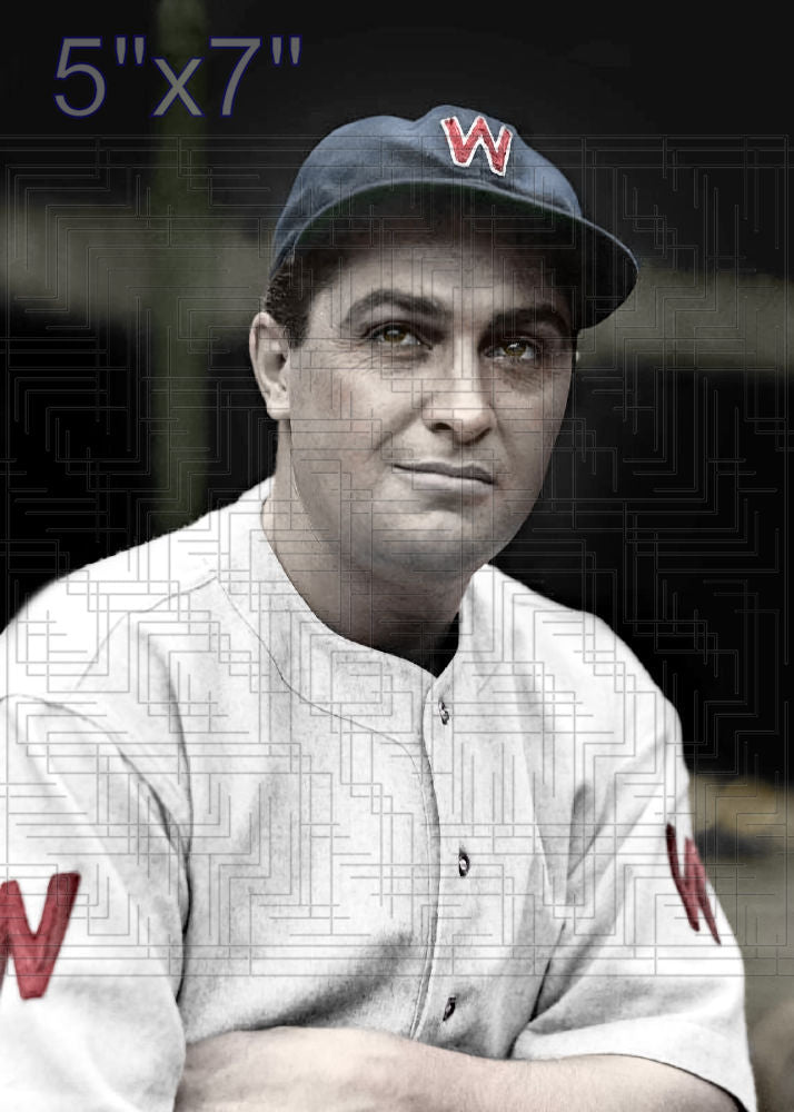 Earl Whitehill - 1936 Washington Senators - choose a size & style