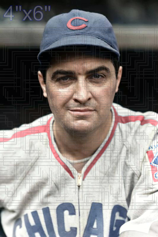 Earl Whitehill - 1939 Chicago Cubs - choose a size & style