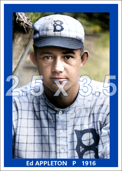 Ed Appleton - 1916 Brooklyn Robins - choose a size & style
