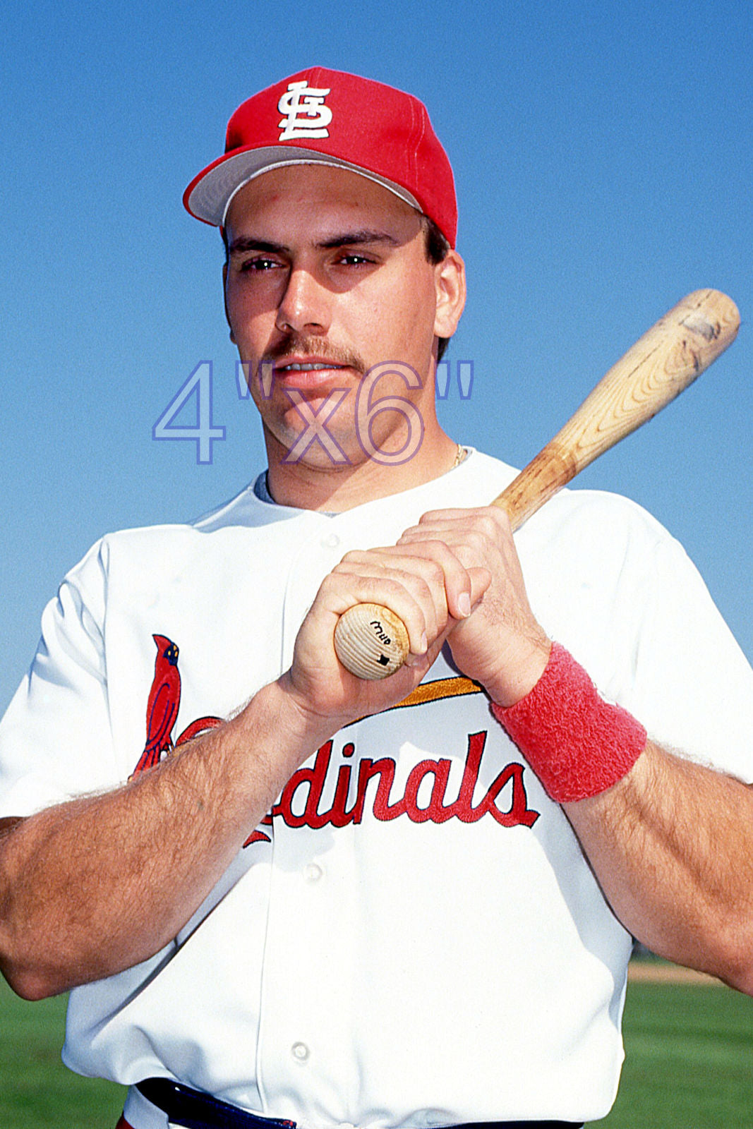 Ed Fulton - 1992 St. Louis Cardinals - choose a size & style