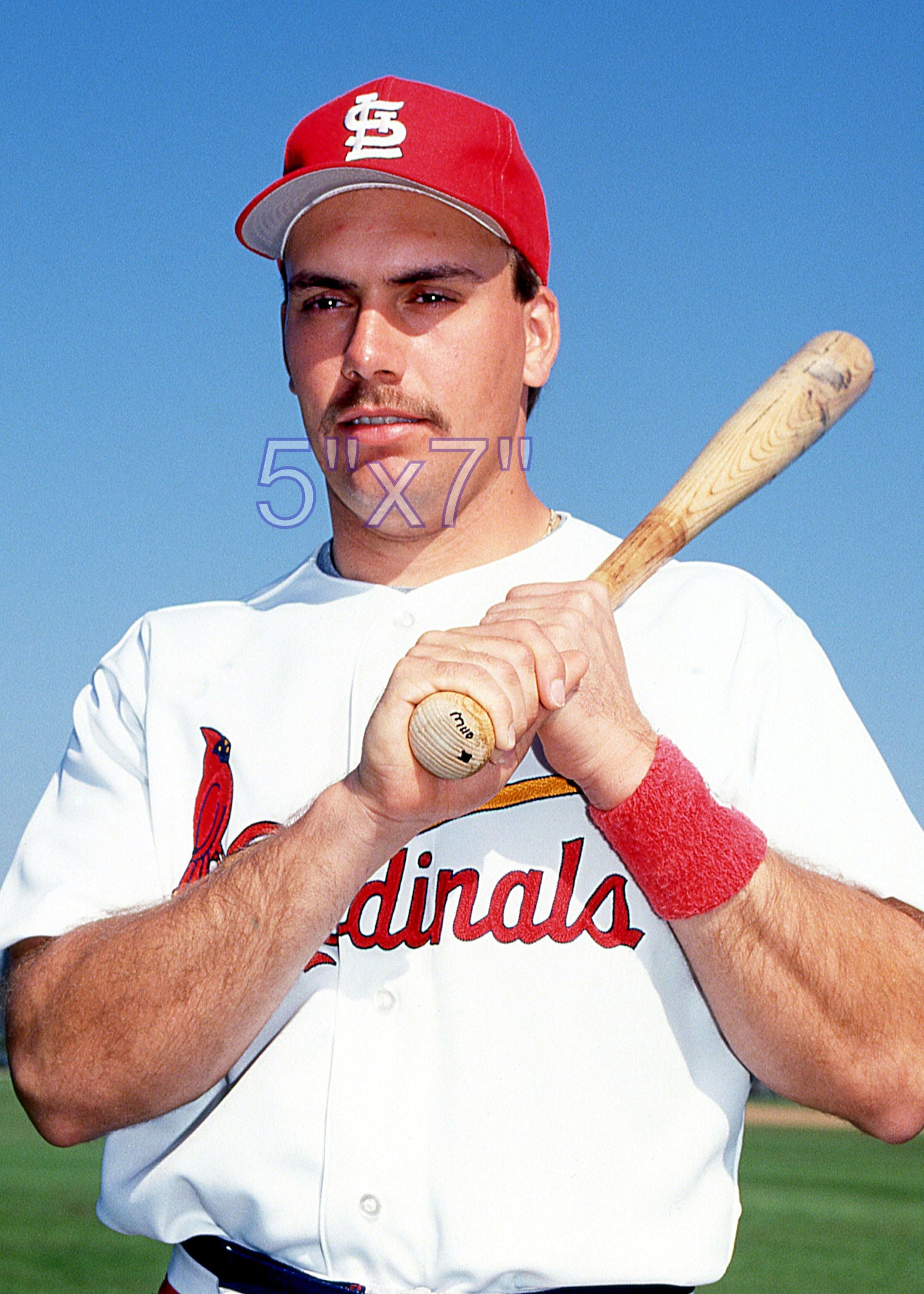 Ed Fulton - 1992 St. Louis Cardinals - choose a size & style