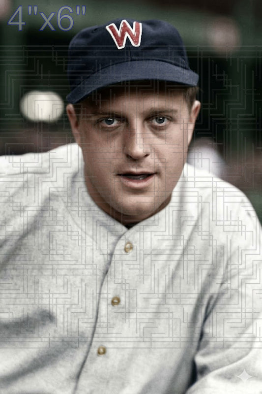 Ed Linke - 1937 Washington Senators - choose a size & style