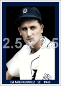 Ed Mierkowicz - 1945 Detroit Tigers - choose a size & style