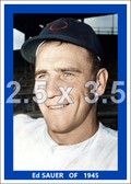 Ed Sauer - 1945 Chicago Cubs - choose a size & style