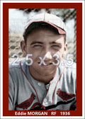 Eddie Morgan - 1936 St. Louis Cardinals - choose a size & style