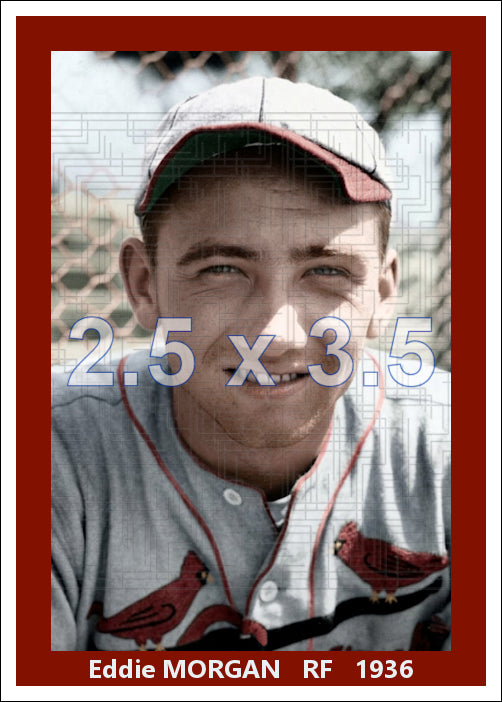 Eddie Morgan - 1936 St. Louis Cardinals - choose a size & style