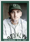Eddie Morgan - 1937 Brooklyn Dodgers - choose a size & style