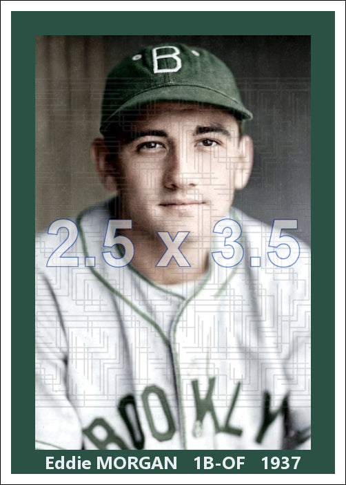 Eddie Morgan - 1937 Brooklyn Dodgers - choose a size & style