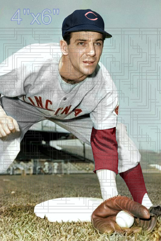 Eddie Pellagrini - 1952 Cincinnati Reds - choose a size & style