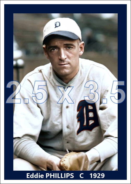 Eddie Phillips - 1929 Detroit Tigers - choose a size & style