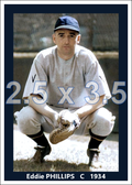 Eddie Phillips - 1934 Washington Senators - choose a size & style