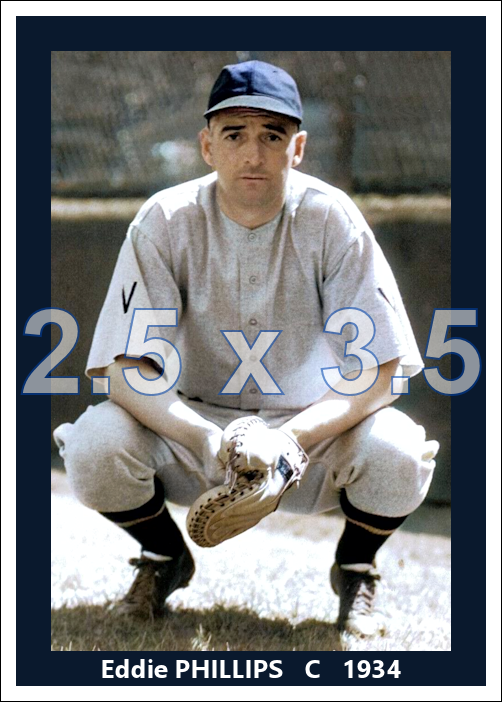 Eddie Phillips - 1934 Washington Senators - choose a size & style