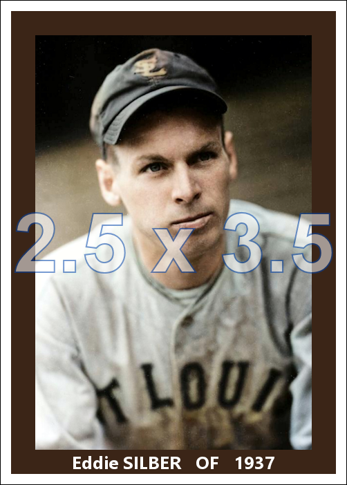 Eddie Silber - 1937 St. Louis Browns - choose a size & style