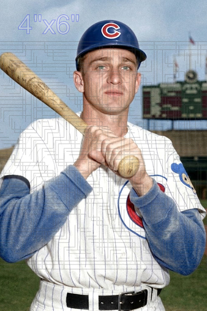 Elder White - 1962 Chicago Cubs - choose a size & style